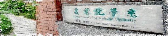 首頁大圖