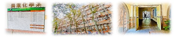 首頁大圖